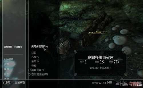 上古卷轴5重制版游戏截图10