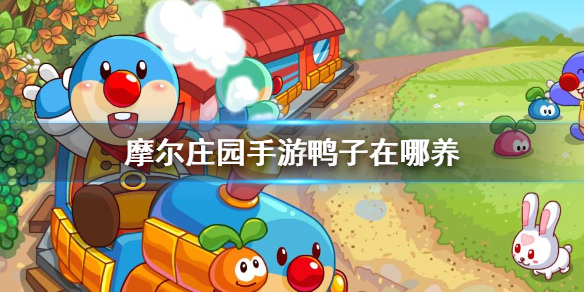 《摩尔庄园手游》鸭子在哪养 养鸭子攻略